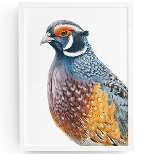Watercolor Quail Wall Art Print, Unframed - Vibrant Nature-Inspired Home Decor